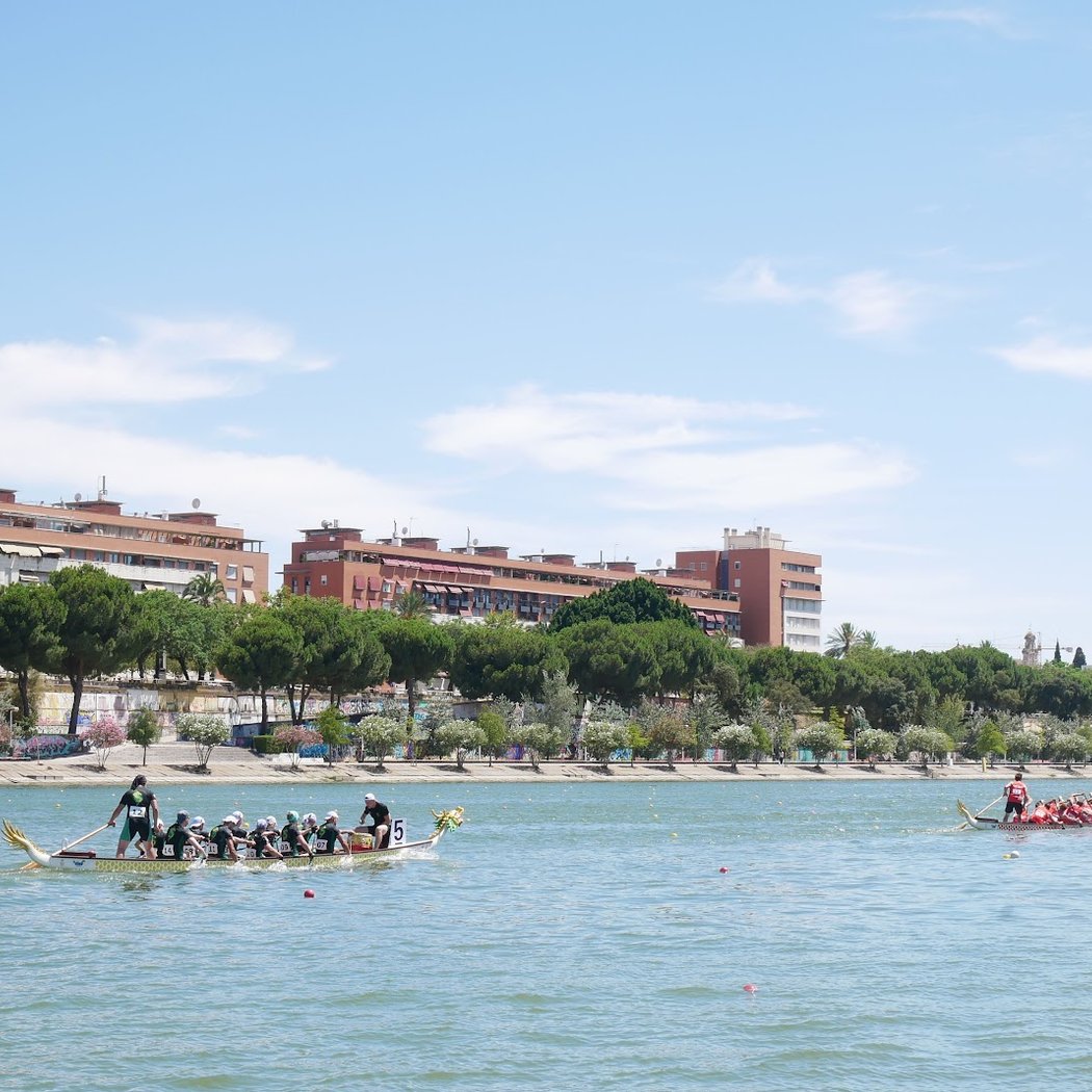 World Rowing Cup Sevilla 2026 2